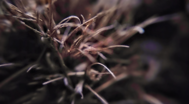 351665157-6dec05aa1f9c2366a23cb4c91fe54914b59396616059cb6898c3422bb4f6c7ea.png