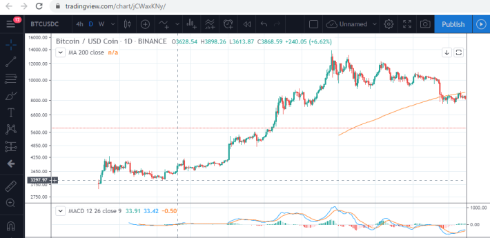 2019 BTC February price