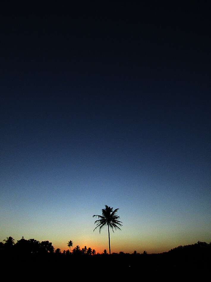 Tree and sky, by abisai