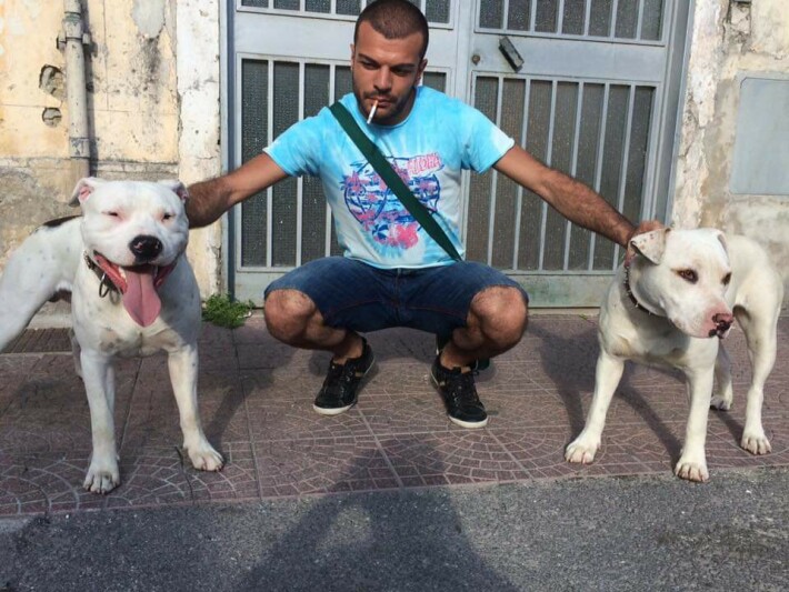 puppies