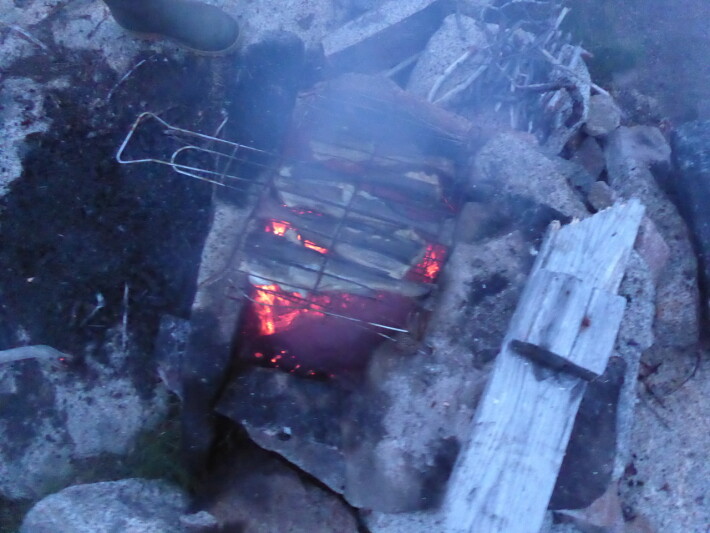 Grilling fish