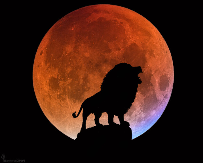 trevor balthrop bitcoin brave lion moon tiger