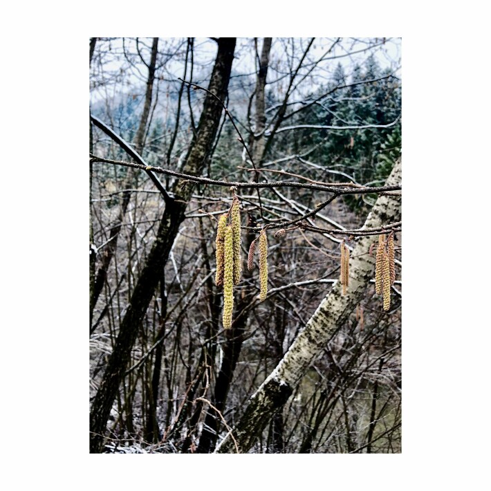 Postcard from Spring