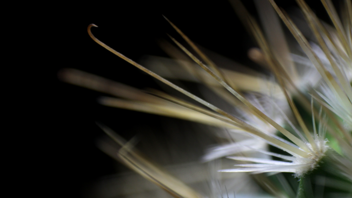 351665157-8882b81b46705b34f9c21cf68db8a68b84d924268cfe79fee9b8a1c9eaf1c7cf.png