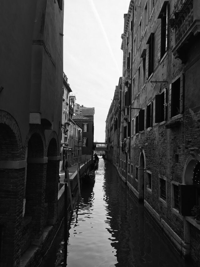 190903265-8dc633263ad0f658a1283da12b8b3b9baaf31862f9206f67e773ed52bbb70299.jpeg