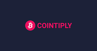 351665157-93297237f945db01d412eb834ef801699e18f6aa8475f4ceb45369c0f7368842.png