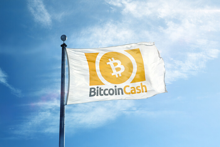 why bitcoin cash bch exist