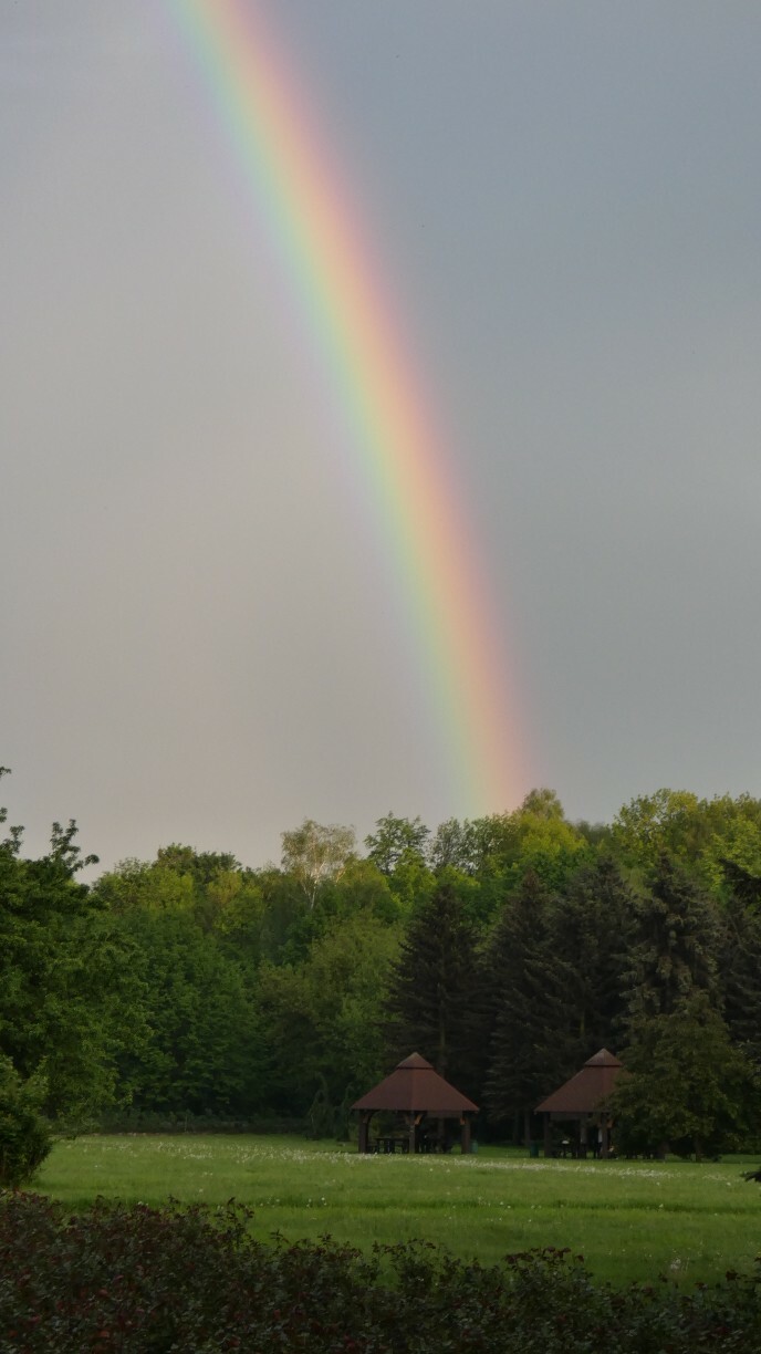 190903265-a045aa17bb76886e33eb51b5c1dfc0474b1df9e6e33268ce04bf83fcda994a4b.jpeg