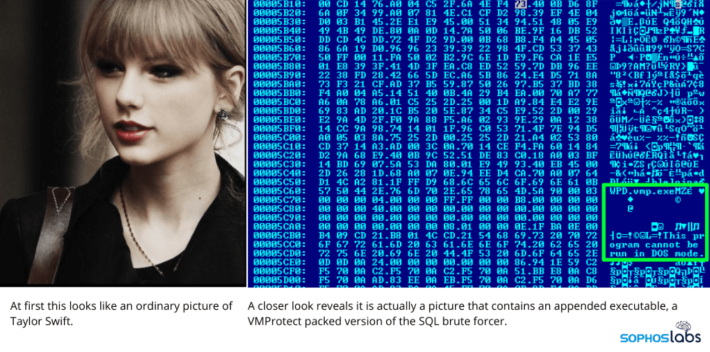 taylor swift crypto malware