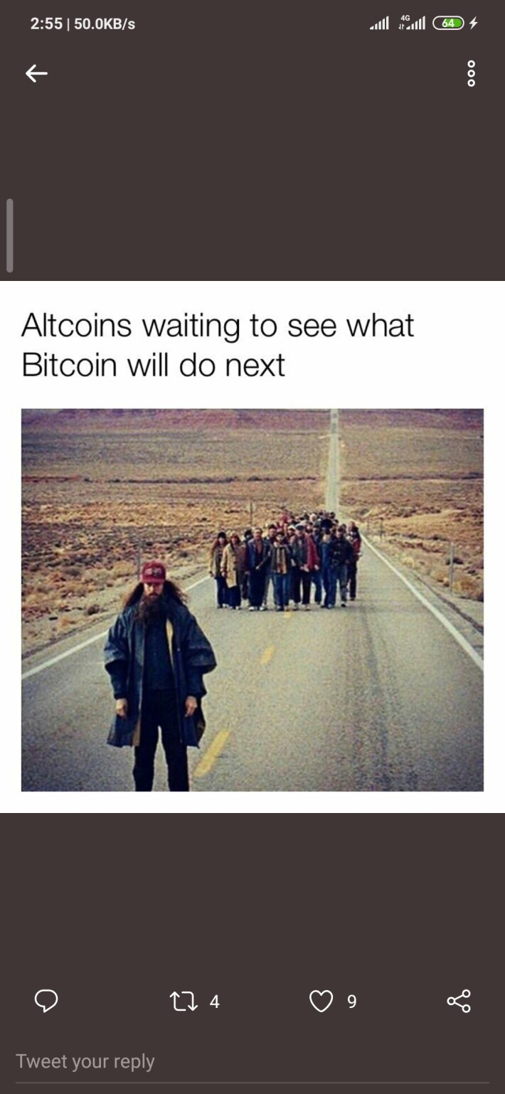351665157-b2a3bb0a192ec870536383b1d96c056d73ab62d62dc75fb6f1115ea011159e16.jpeg