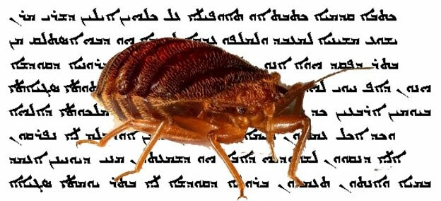 351665157-c0b928632cb9d3902b2cf787a10940e3d40ca97ab7ea0f9458304a6f34e8604d.jpeg