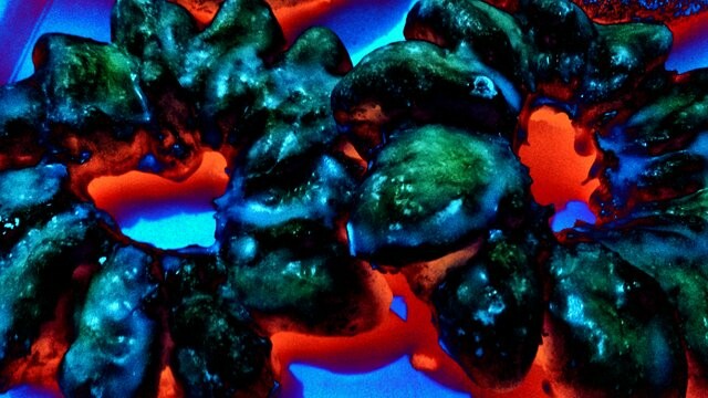 190903265-dbb4e3528a67b4e108a43c75d1cbbd225882d0ec573e954626c4bd3937141f2d.jpeg