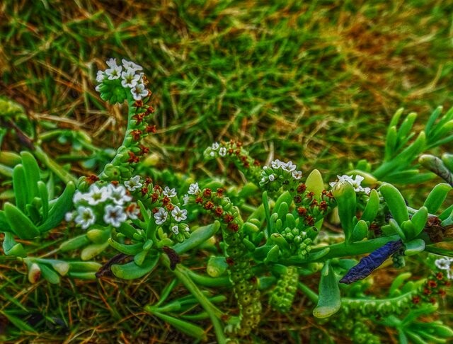 190903265-e2d16fb92c0788fa0ae2dc198a69e4055bd5fbf4ba75b18fc0b4a764099b8104.jpeg