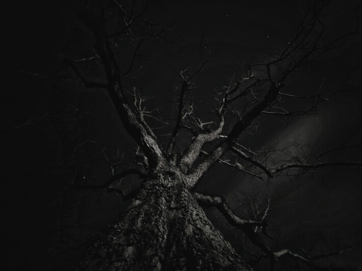 In the Night