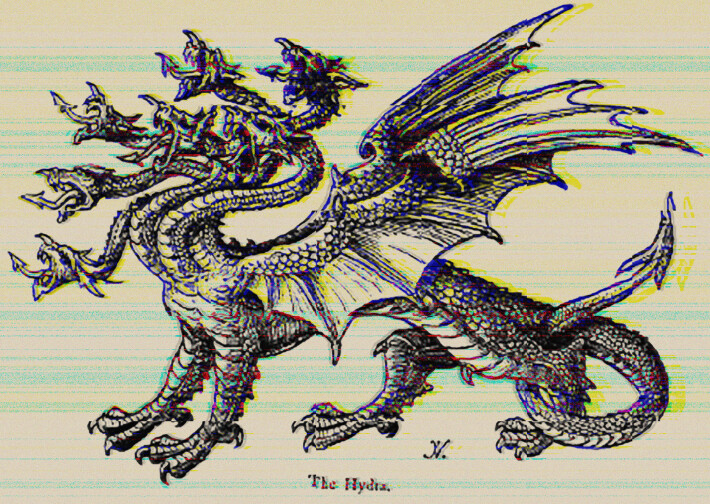 The Hydra