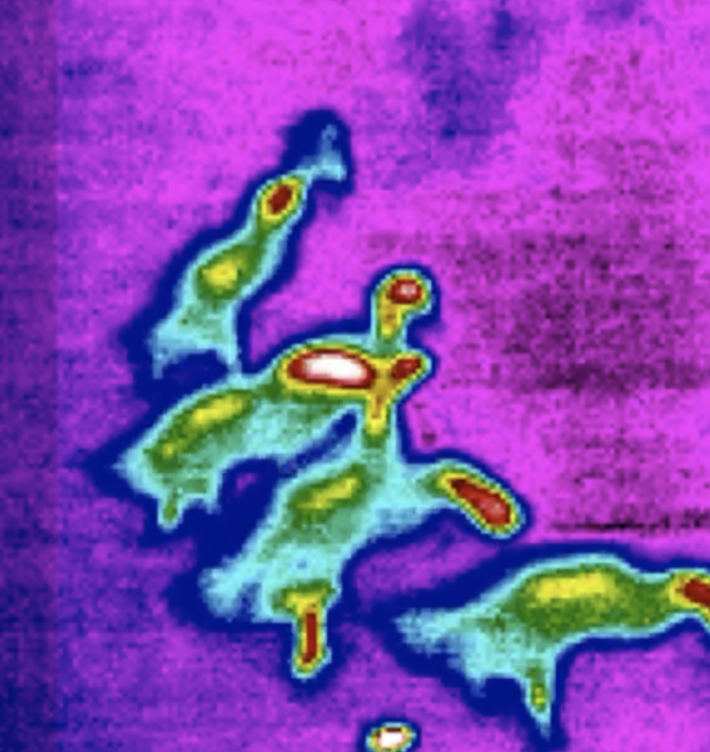 351665157-f884fc16022aef0aff210ab6e5cbe006550dfd09086ceffdf427e159d41da689.png