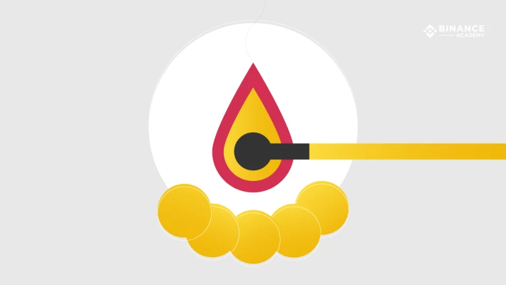 Binance Coin BNB Burn