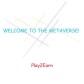 Welcome to the Metaverse!