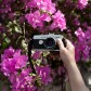 Anything Photography