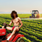 Harvest.finance