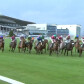 UK Horse Racing Book Reviews