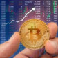 Crypto the best place to invest but not to earn