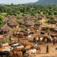 From Village to Blockchain