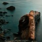 alpha_Photography