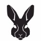 Naodai Crypto