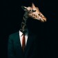 Les cryptos pour les nuls