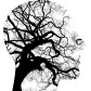 Mental Health Wellness