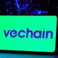 Worth of $vechain(vet) in 2026?