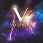 What is vechain