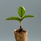 Embrace Change for Personal Growth