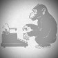 Crypto Monkey
