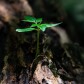 The nature of investing and life
