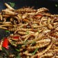 EDIBLE INSECTS - A Food Revolution