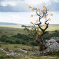 Crypto Autonomy
