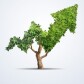 Market analysis and views