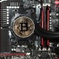 BitcoinCrazy