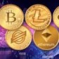 Supportive Crypto Community