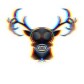 cbdbuck
