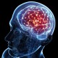Psychology, Humanity and Life itself