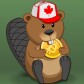 Crypto Beaver