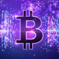 cryptopulse