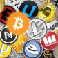 nachomolina "Crypto Content"
