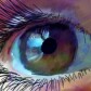 art and cryptocurrencies