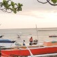 shared photos/Foods/Nature