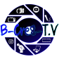 B-Cre8-T.V