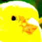 a legendary canary